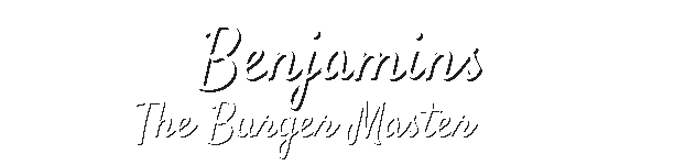 Benjamins The Burger Master