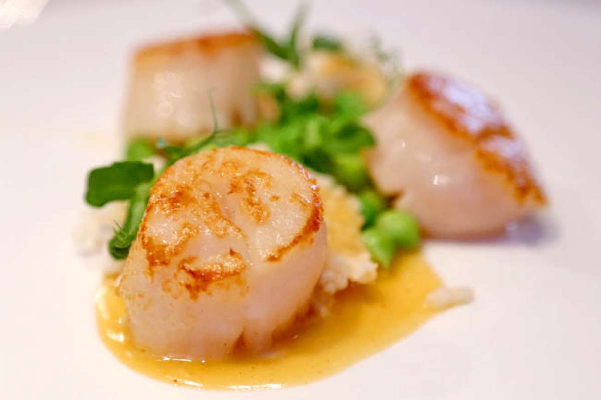 Taku Japanese Kitchen — photograph 5