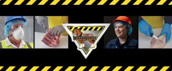 WorkHorse® – Trusted Protection for the Food Processing Industry