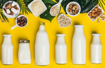 Replicating Richness in Dairy-Free Formulations Using Custom Cream Flavors