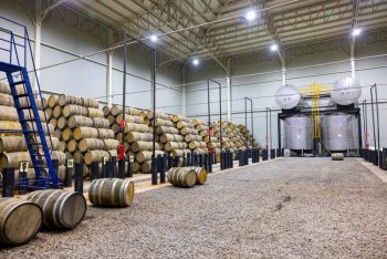 The Essential Buyer’s Guide to Agave Wine for Food & Beverage Leaders