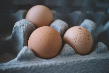 6 Reasons Restaurant Owners Prioritize Egg Quality