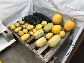 From Farm to Table: The Role of Climate-Controlled Storage in Food Preservation