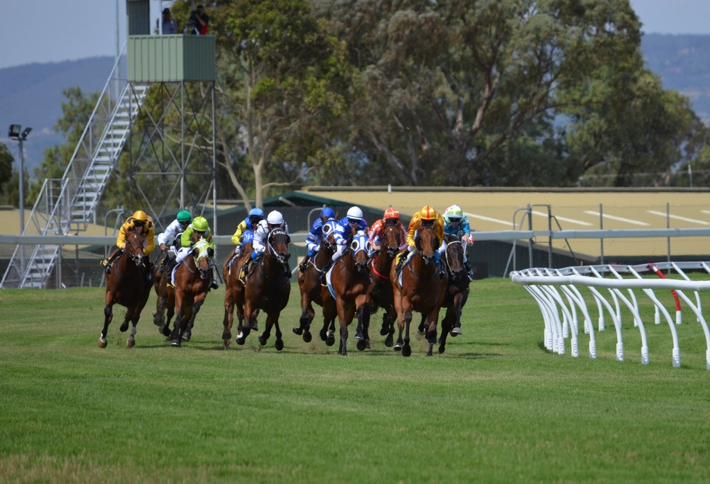 Horse racing track