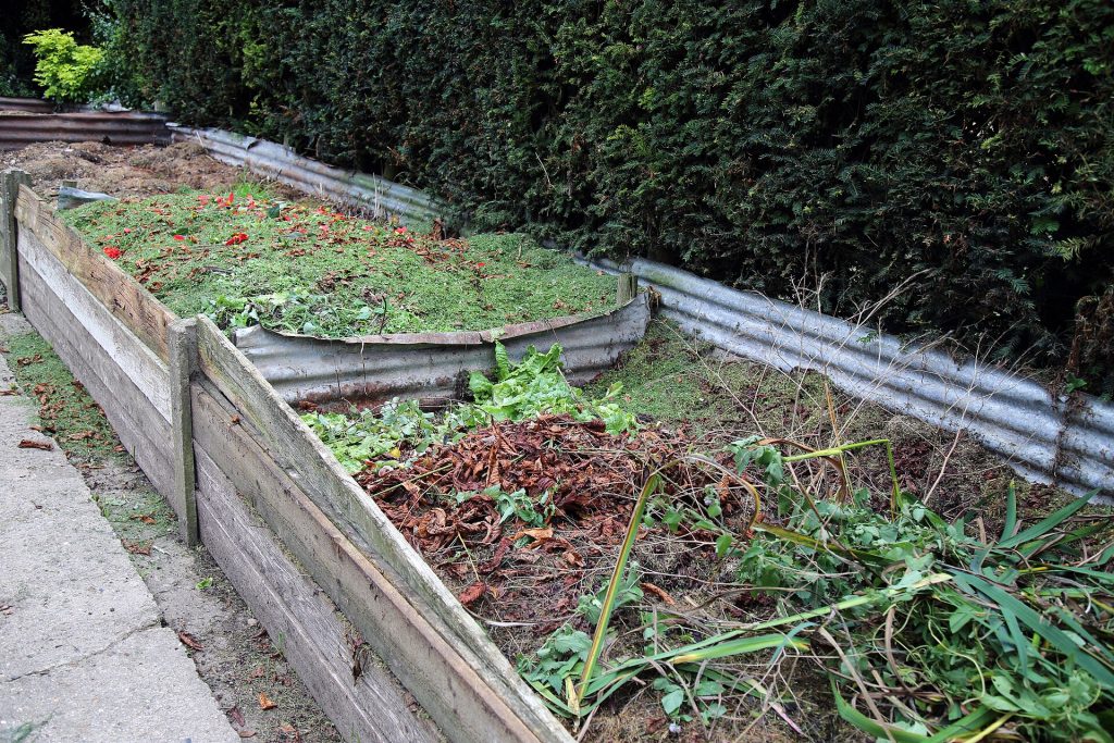Vegetable scraps in a compost bin