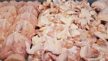 Safe Thawing Methods: 6 Myths Kitchen Staff Believe