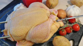 Top Things to Consider When Buying Chicken Products for Your Meals